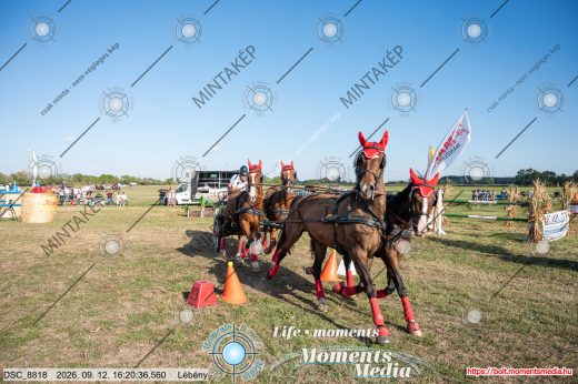 Mintakép 20260912-1262