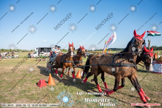 Mintakép 20260912-1263