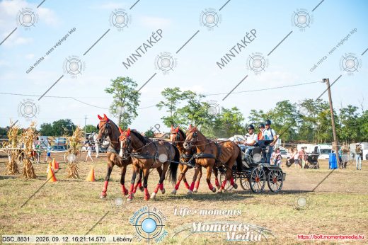 Mintakép 20260912-1266