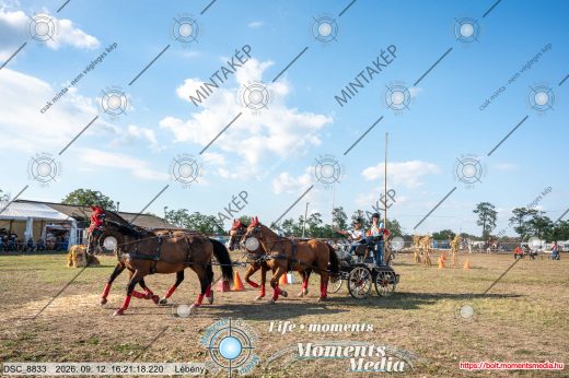 Mintakép 20260912-1267