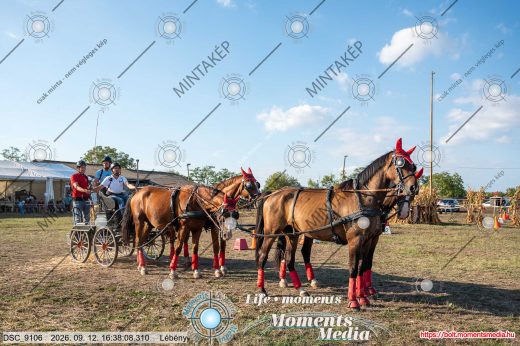Mintakép 20260912-1269