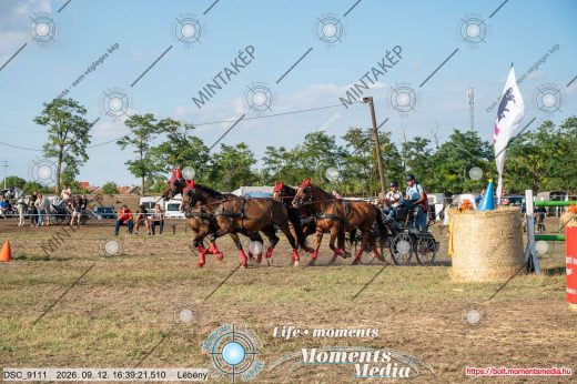 Mintakép 20260912-1270