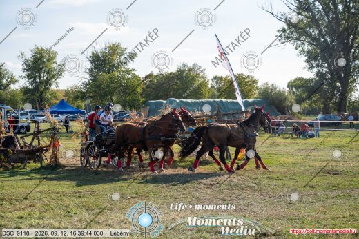 Mintakép 20260912-1271