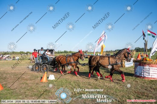 Mintakép 20260912-1277