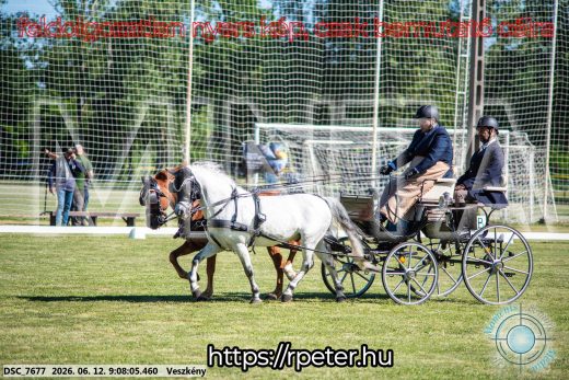 Mintakép 20260612-882