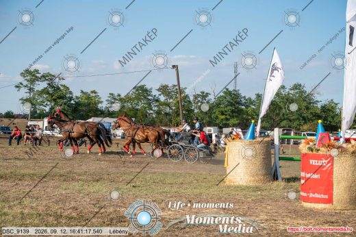 Mintakép 20260912-1279