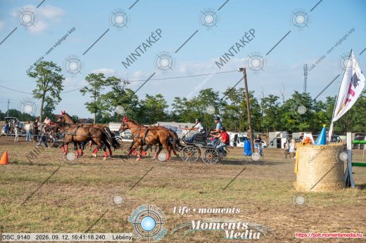 Mintakép 20260912-1280