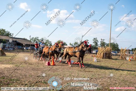 Mintakép 20260912-1282