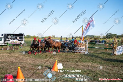Mintakép 20260912-1284