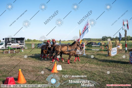 Mintakép 20260912-1285