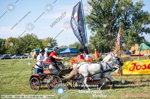 Mintakép 20260912-1305