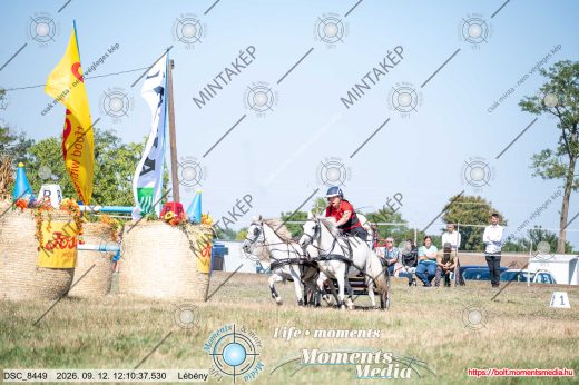 Mintakép 20260912-1316