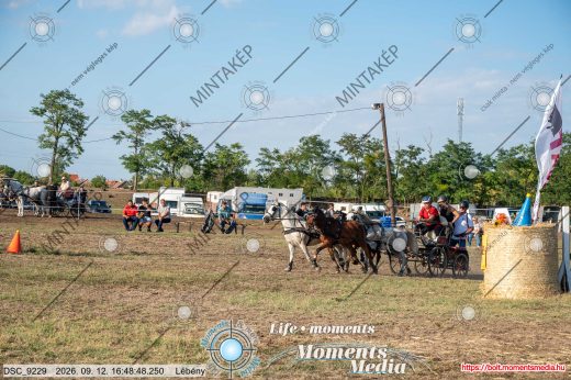 Mintakép 20260912-1372