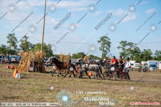 Mintakép 20260912-1374