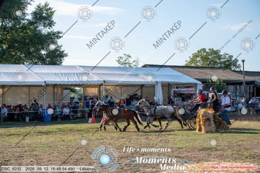 Mintakép 20260912-1375