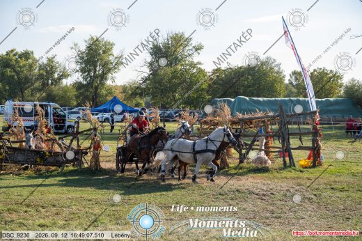 Mintakép 20260912-1378