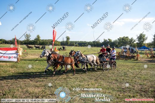 Mintakép 20260912-1381