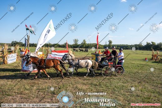 Mintakép 20260912-1382