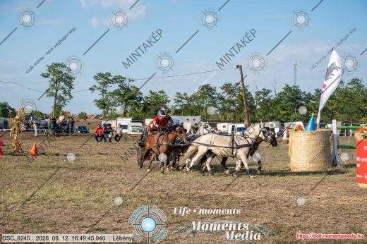 Mintakép 20260912-1384
