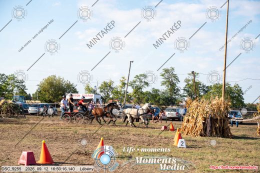 Mintakép 20260912-1387