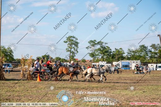 Mintakép 20260912-1388