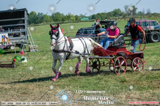 Mintakép 20260912-1439