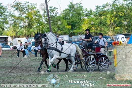 20260912-134357-DSC_9486.jpg