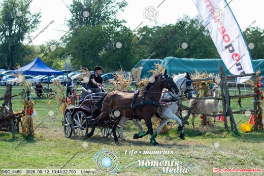 Mintakép 20260912-1450