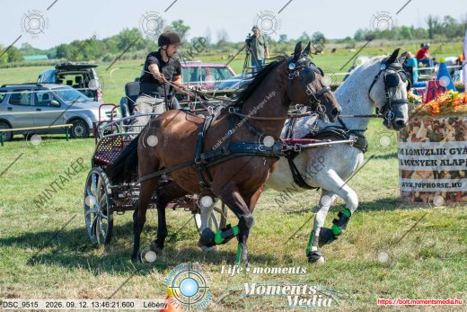 Mintakép 20260912-1470