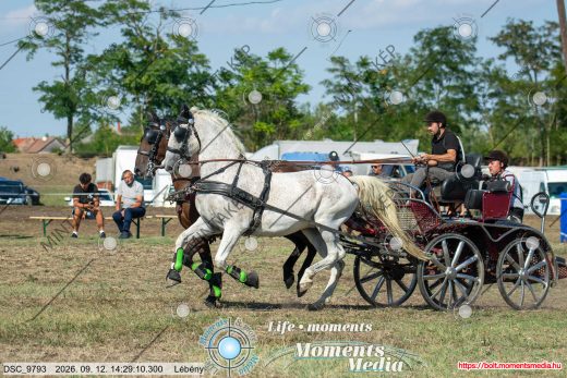 Mintakép 20260912-1479