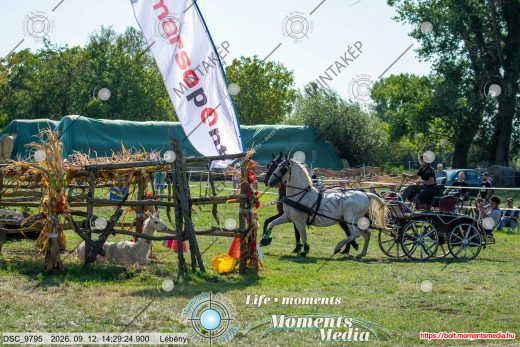 Mintakép 20260912-1481