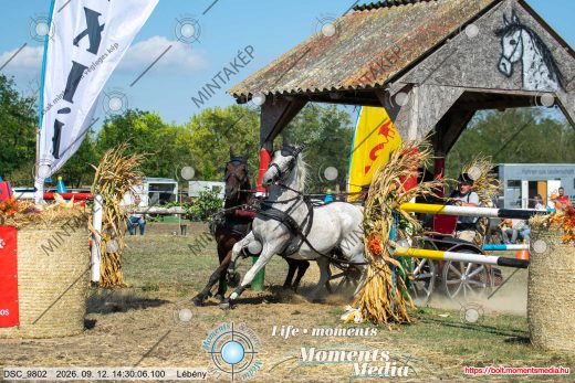 Mintakép 20260912-1485