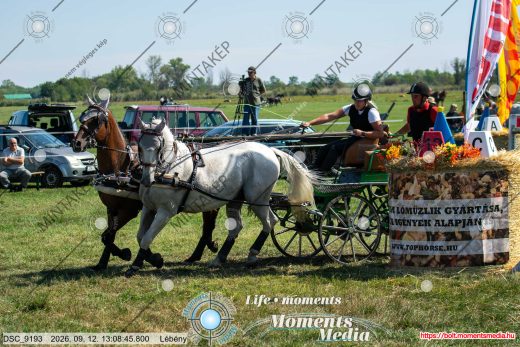 Mintakép 20260912-1539