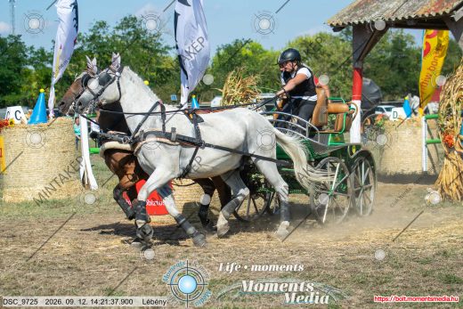 Mintakép 20260912-1553