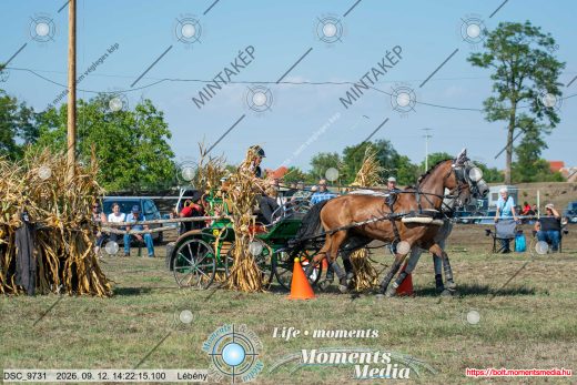 Mintakép 20260912-1558