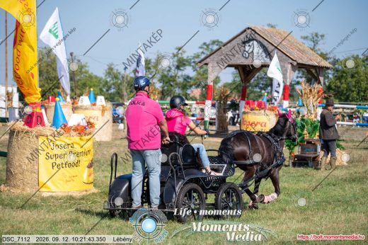 Mintakép 20260912-1589