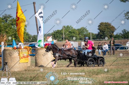 Mintakép 20260912-1596