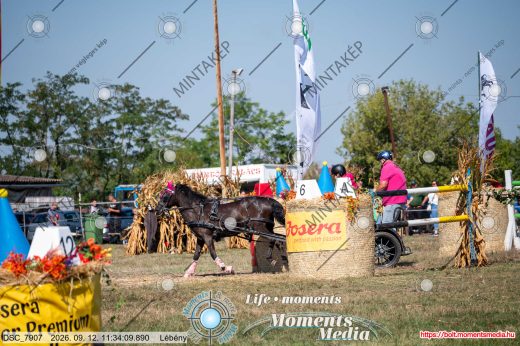 Mintakép 20260912-1623