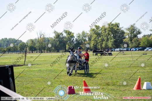 Mintakép 20260912-1671