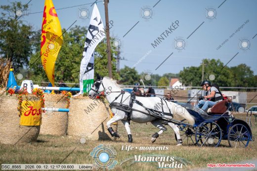 Mintakép 20260912-1679