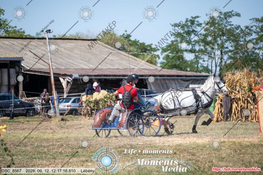 Mintakép 20260912-1681