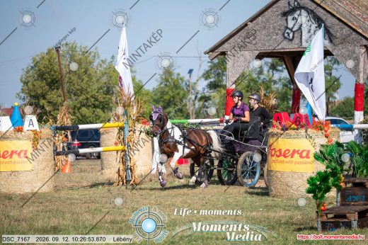 Mintakép 20260912-1696
