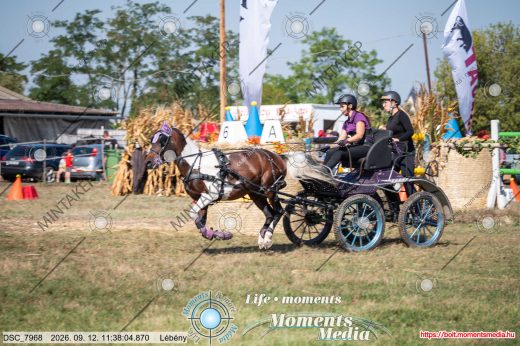 Mintakép 20260912-1717
