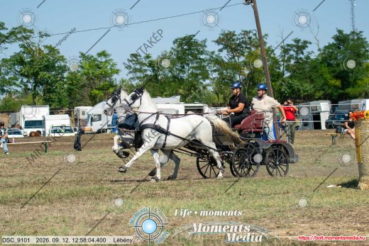 Mintakép 20260912-1741