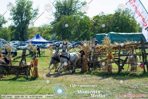 Mintakép 20260912-1770