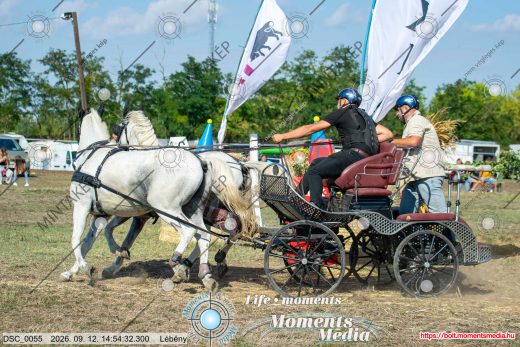 Mintakép 20260912-1781