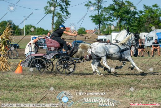Mintakép 20260912-1790