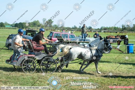 Mintakép 20260912-1798