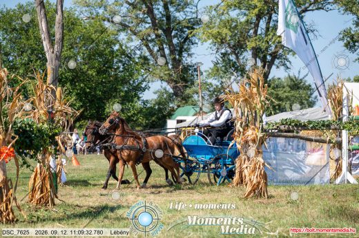 Mintakép 20260912-1861