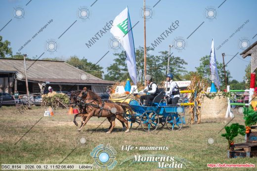 Mintakép 20260912-1884